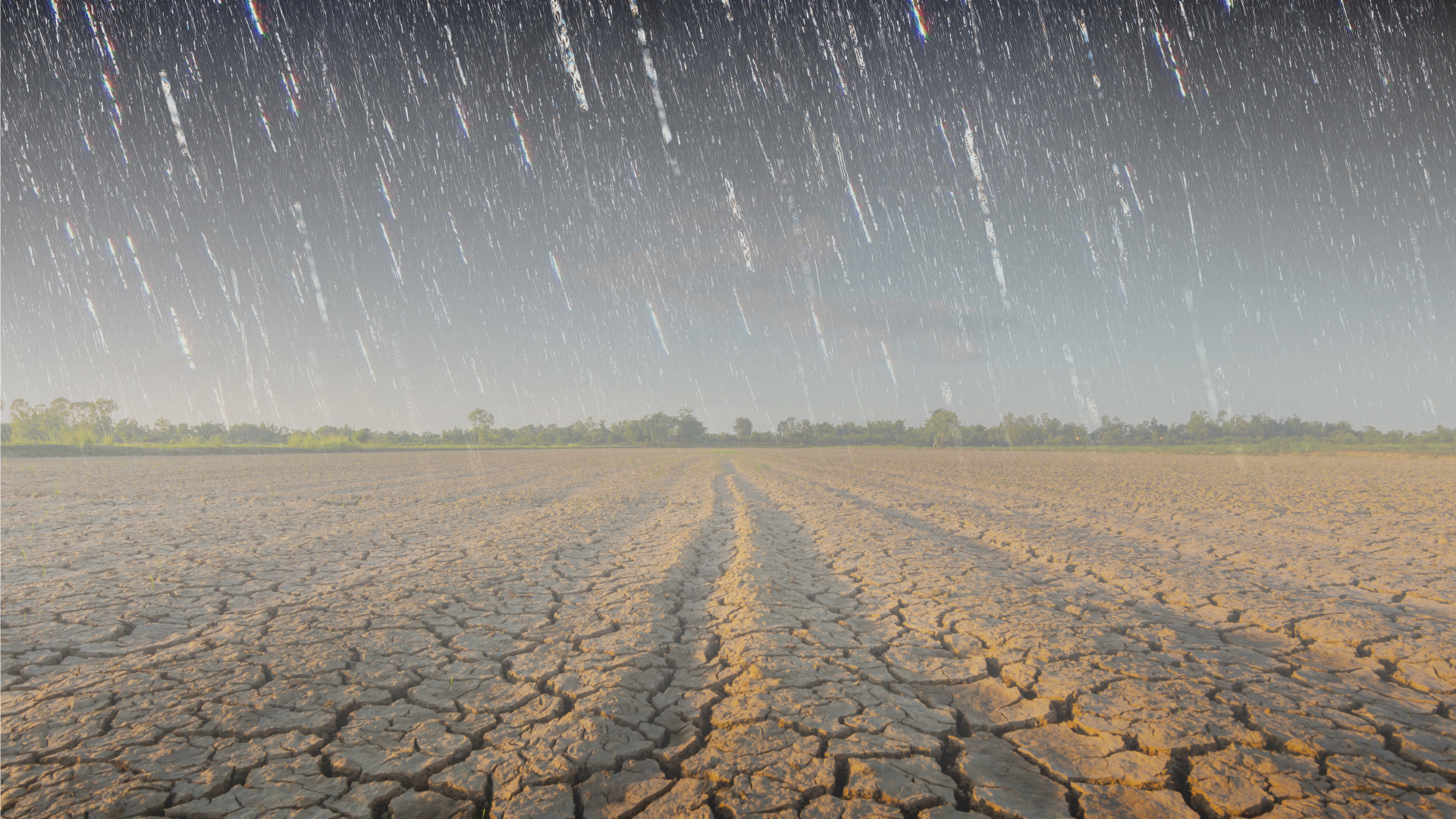 veld in droogte met vallende regen