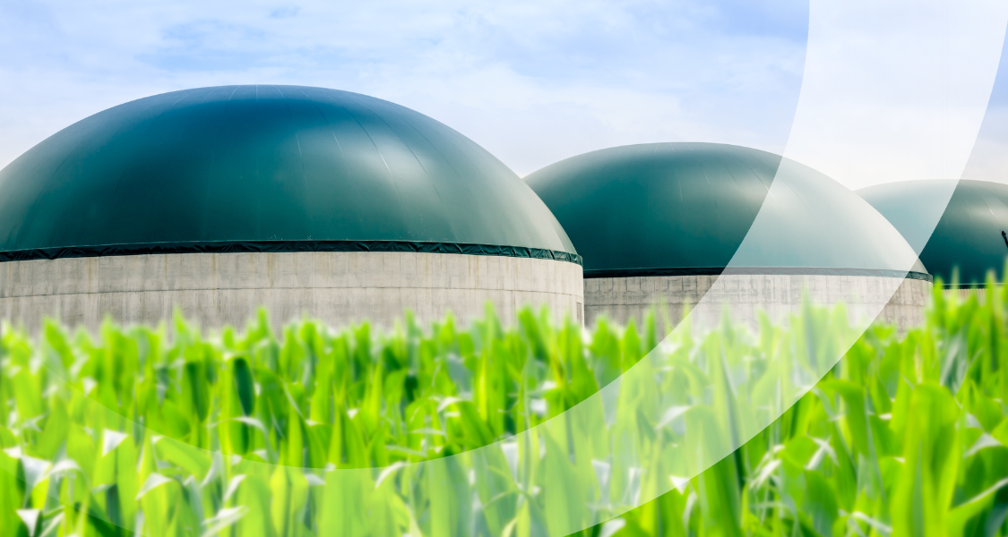 biogaz